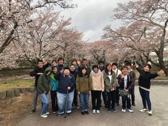 笹原川の千本桜
